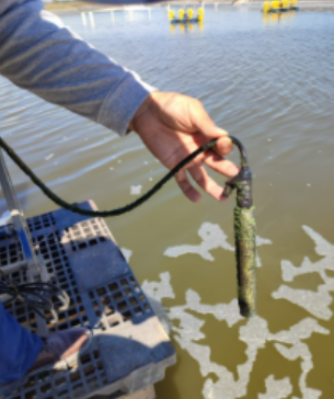 Optische aufgelöste Sauerstoff-Sensoren in der Aquakultur