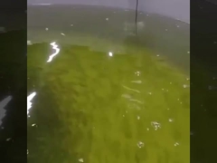 Optischer aufgelöster Sauerstoff-optischer on-line-Sensor des Sauerstoff-Sensor-Rs485